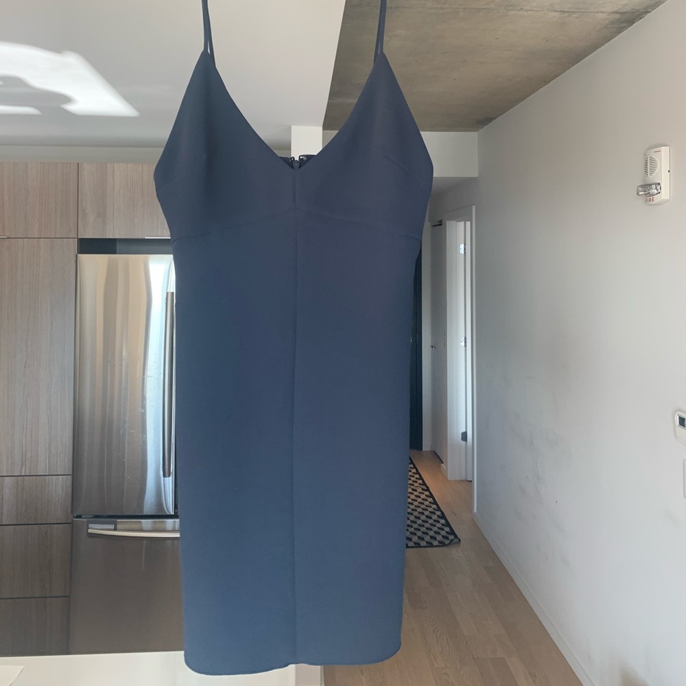 Aritzia dress